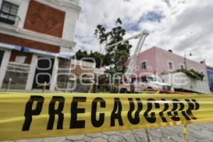 BARRIO DEL ARTISTA . ÁRBOL CAÍDO