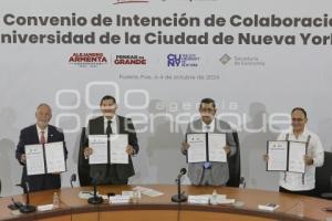 GOBIERNO ESTATAL . UNIVERSIDAD NUEVA YORK