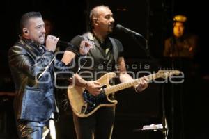 CONCIERTO . ELEFANTE