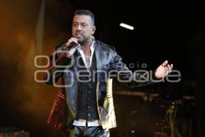 CONCIERTO . ELEFANTE