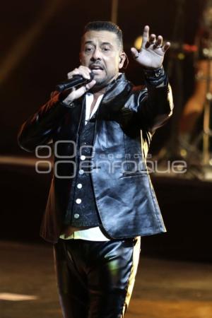 CONCIERTO . ELEFANTE