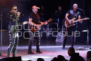 CONCIERTO . ELEFANTE