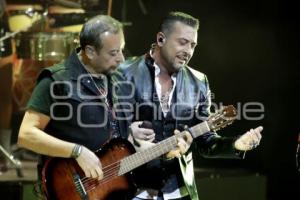 CONCIERTO . ELEFANTE