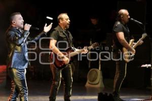 CONCIERTO . ELEFANTE