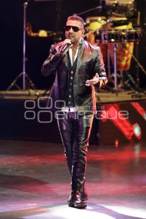 CONCIERTO . ELEFANTE