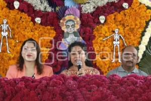 TEMPORADA DE FLOR DE CEMPASÚCHIL 