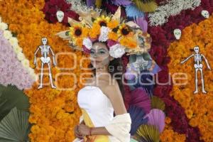 TEMPORADA DE FLOR DE CEMPASÚCHIL 