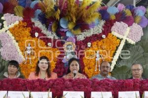 TEMPORADA DE FLOR DE CEMPASÚCHIL 