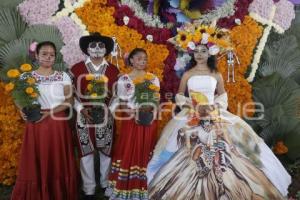 TEMPORADA DE FLOR DE CEMPASÚCHIL 