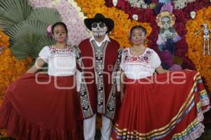 TEMPORADA DE FLOR DE CEMPASÚCHIL 