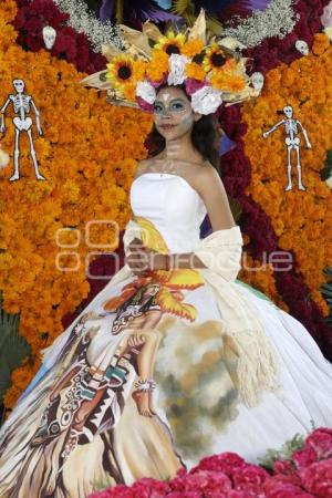 TEMPORADA DE FLOR DE CEMPASÚCHIL 