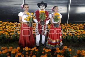 TEMPORADA DE FLOR DE CEMPASÚCHIL 