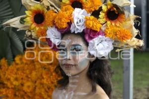 TEMPORADA DE FLOR DE CEMPASÚCHIL 