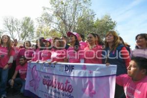 TLAXCALA . CAMINATA ROSA