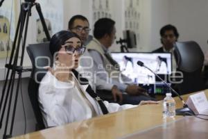 COMISIÓN DERECHOS HUMANOS . ROSA ISELA SÁNCHEZ