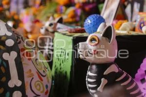 CASA DE CULTURA . OFRENDAS