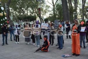 TLAXCALA . MARCHA FEMINISTA 25N