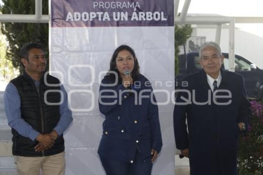 SAN ANDRÉS CHOLULA . ADOPTA UN ÁRBOL