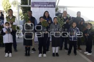 SAN ANDRÉS CHOLULA . ADOPTA UN ÁRBOL