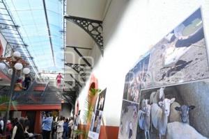 TLAXCALA . EXPOSICIÓN UTOPÍA REPÚBLICA TLAXCALLAN
