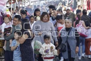 LA VILLITA . VENDIMIA