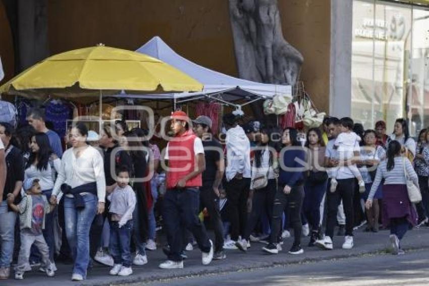 LA VILLITA . VENDIMIA