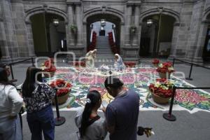 PALACIO MUNICIPAL . NACIMIENTO