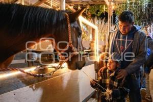 TLAXCALA . NACIMIENTO DE ANIMALES VIVOS