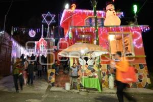 TLAXCALA . NACIMIENTO DE ANIMALES VIVOS