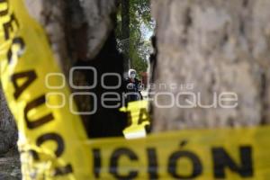 TLAXCALA . ÁRBOL DAÑADO