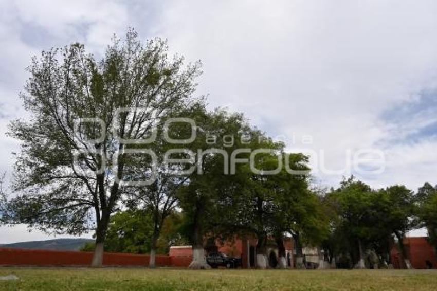 TLAXCALA . HENO MOTITA