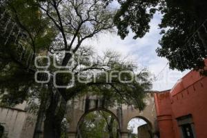 TLAXCALA . HENO MOTITA