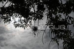 TLAXCALA . HENO MOTITA