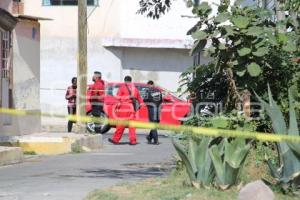 RÍO ALSESECA . CADÁVER