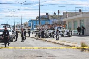 SEGURIDAD . CONSTITUCIÓN MEXICANA