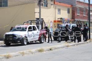 SEGURIDAD . CONSTITUCIÓN MEXICANA