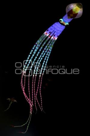 SAN ANDRÉS CHOLULA . VOLARTE 2025