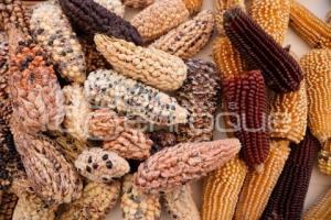 TLAXCALA . FERIA BIODIVERSIDAD INDIGENA