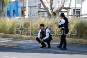 NOTA ROJA . MUJER PRENSADA