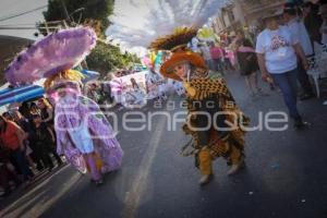 TLAXCALA . DESFILE DE CARNAVAL TOTOLAC
