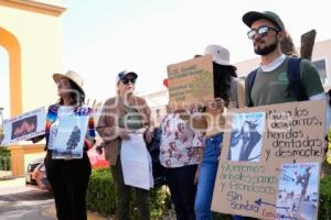 TLAXCALA . MANIFESTACIÓN PODA ÁRBOLES