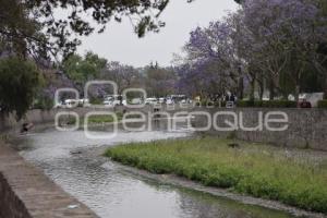 TLAXCALA . RIO ZAHUAPAN