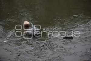 TLAXCALA . RIO ZAHUAPAN