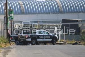 NOTA ROJA . SANCTORUM