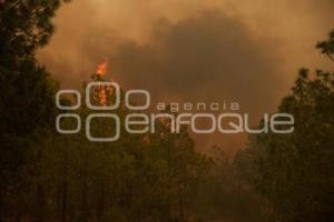 TLAXCALA . INCENDIO ATLTZAYACAN