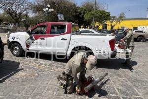 ACATLÁN . PREVENCIÓN DENGUE