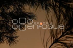 TLAXCALA . INCENDIO ATLTZAYACAN