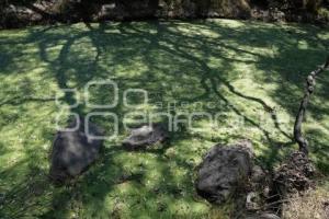 TLAXCALA . CASCADA SAN LÁZARO