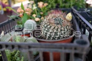 TLAXCALA . FERIA GASTRONÓMICA