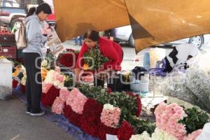 ATLIXCO . FLORES 10 DE MAYO